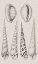 Picture of CHARCOAL AND LINEN SHELLS VI