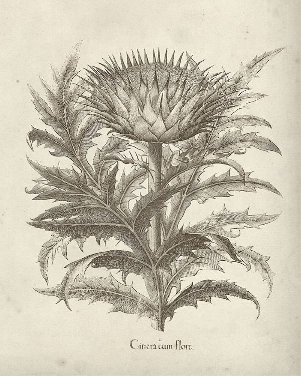 Picture of FRESCO ARTICHOKE I