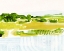 Picture of PATTERNED LANDSCAPE II