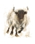 Picture of RUSTIC BULL I