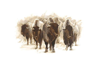 Picture of HERD OF BISON II