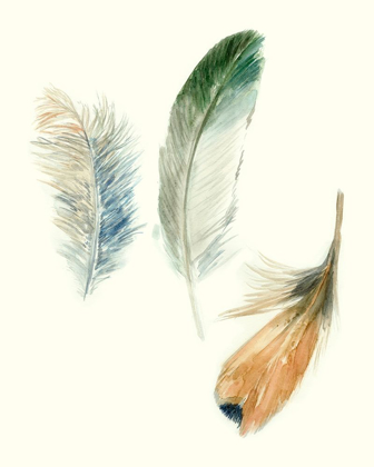 Picture of WATERCOLOR FEATHERS II