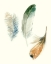 Picture of WATERCOLOR FEATHERS II