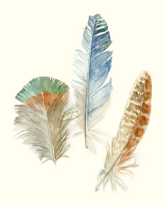 Picture of WATERCOLOR FEATHERS III