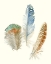 Picture of WATERCOLOR FEATHERS III