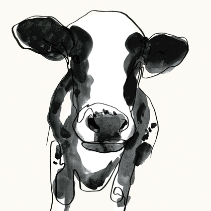 Picture of COW CONTOUR II