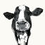 Picture of COW CONTOUR III
