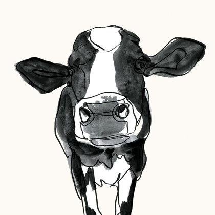 Picture of COW CONTOUR III