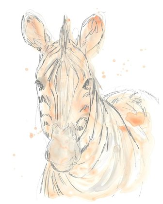 Picture of BLUSH SAVANNAH IV