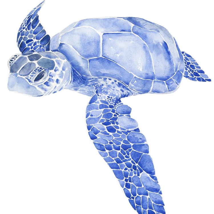 Picture of ULTRAMARINE SEA TURTLE I