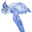 Picture of ULTRAMARINE SEA TURTLE I