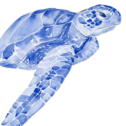 Picture of ULTRAMARINE SEA TURTLE II