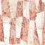 Picture of RED EARTH TEXTILE VII