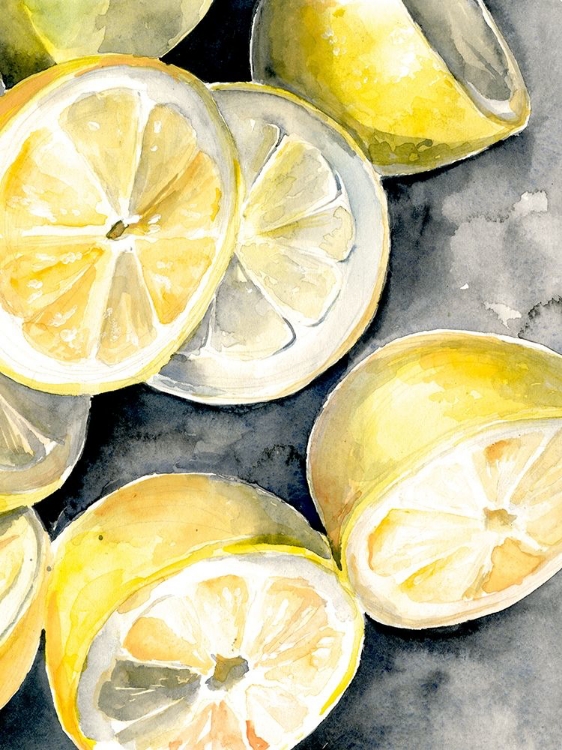 Picture of LEMON SLICES I