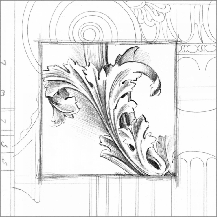 Picture of ACANTHUS DETAIL III