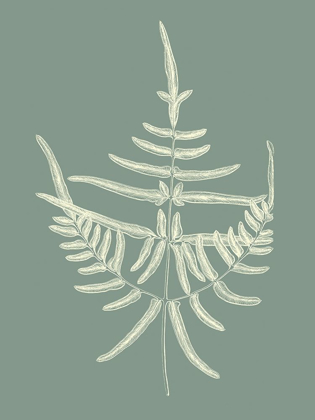 Picture of FERNS ON SAGE I