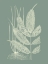 Picture of FERNS ON SAGE II