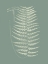 Picture of FERNS ON SAGE VIII