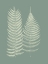 Picture of FERNS ON SAGE IX