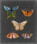 Picture of BUTTERFLIES ON SLATE II