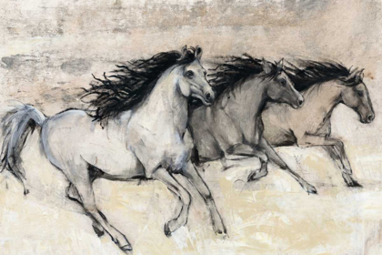 Picture of HORSES IN MOTION II