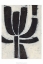 Picture of SYMBIOTIC II