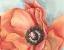Picture of WATERCOLOR POPPY I