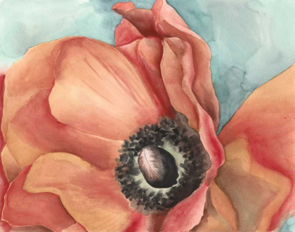 Picture of WATERCOLOR POPPY I