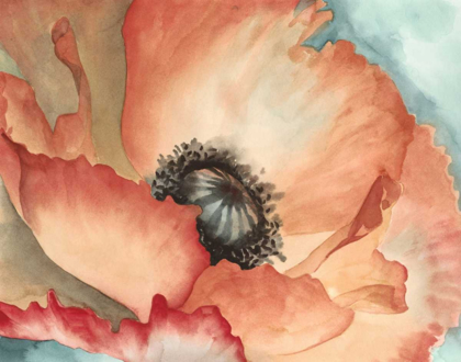 Picture of WATERCOLOR POPPY II