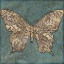 Picture of COLLAGE BUTTERFLY II
