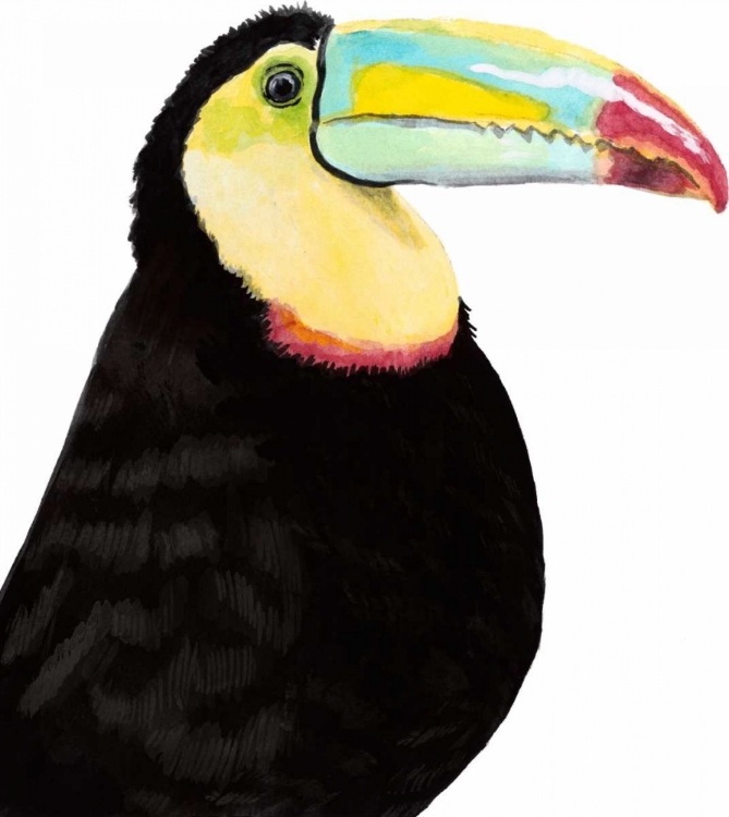 Picture of WATERCOLOR TOUCAN