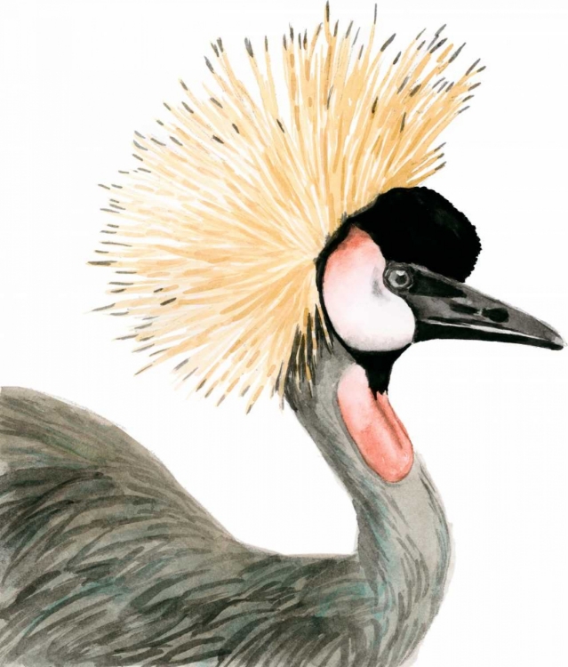 Picture of WATERCOLOR CRESTED CRANE