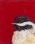 Picture of BIRD PORTRAIT II
