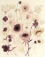 Picture of ANEMONE HAZE II