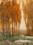 Picture of GOLDEN FOREST II