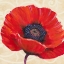 Picture of RED POPPY I