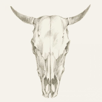 Picture of WESTERN SKULL MOUNT I