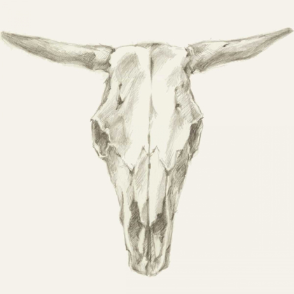 Picture of WESTERN SKULL MOUNT II