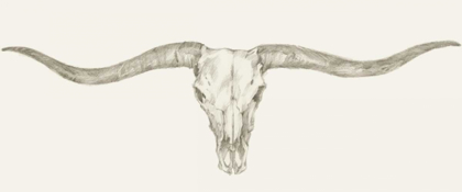 Picture of WESTERN SKULL MOUNT III