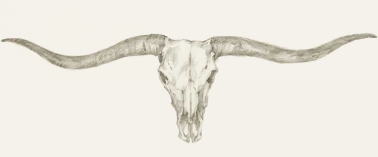 Picture of WESTERN SKULL MOUNT III