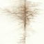 Picture of INFRARED MEMORY IV