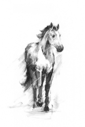 Picture of DYNAMIC EQUESTRIAN II