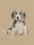 Picture of BREED SKETCHES I