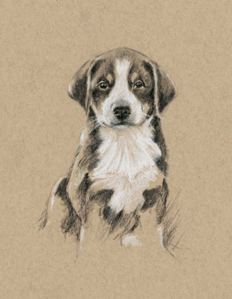 Picture of BREED SKETCHES II