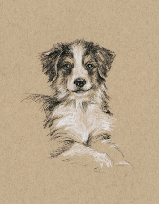 Picture of BREED SKETCHES IV