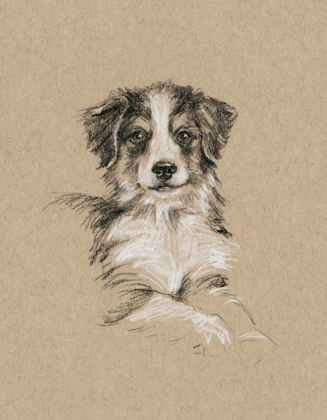 Picture of BREED SKETCHES IV