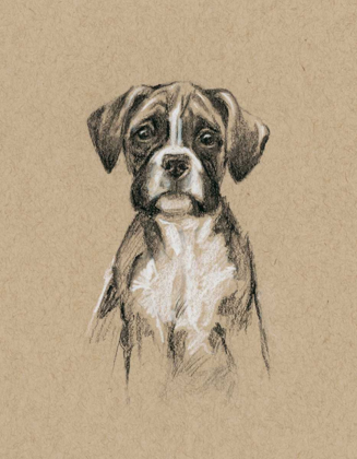 Picture of BREED SKETCHES V