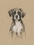 Picture of BREED SKETCHES V