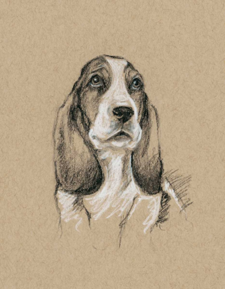 Picture of BREED SKETCHES VI