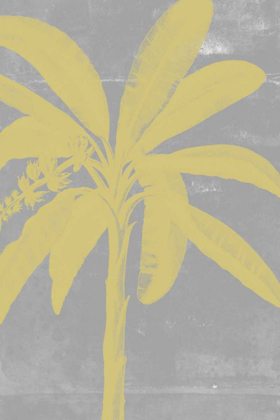 Picture of CHROMATIC PALMS III
